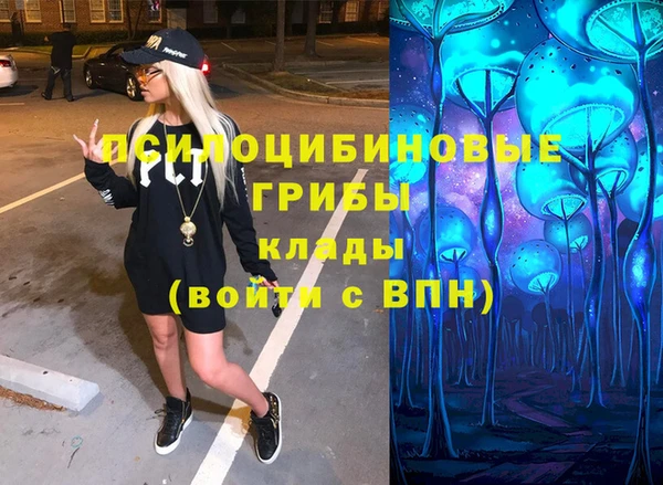 спиды Мегион